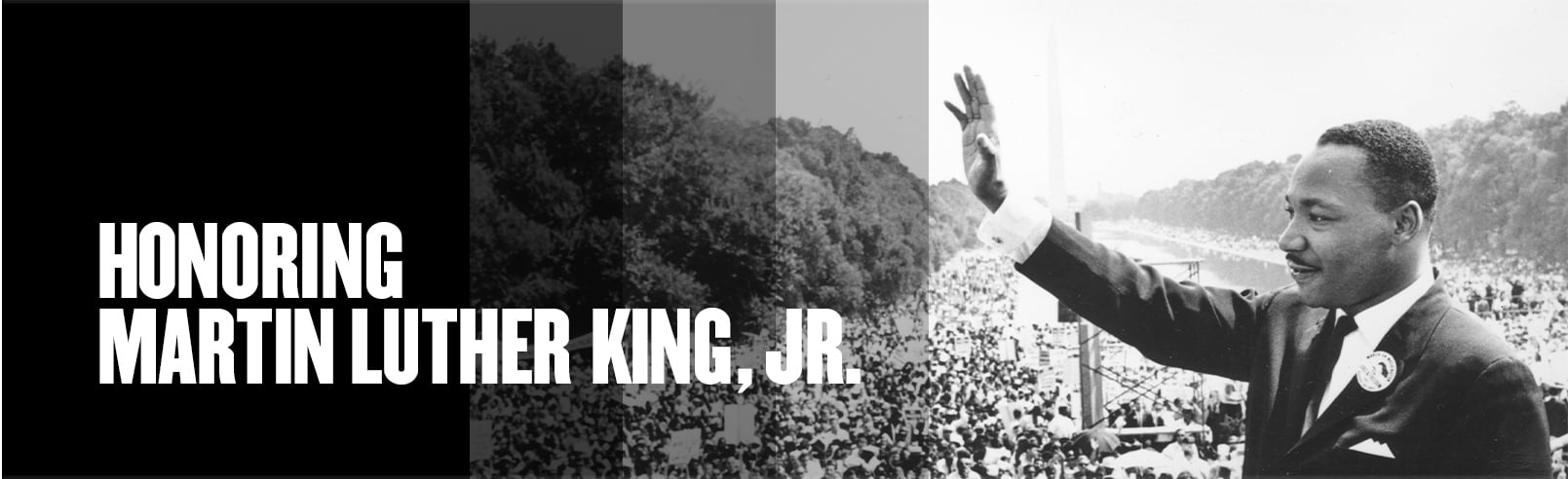 MLK Banner